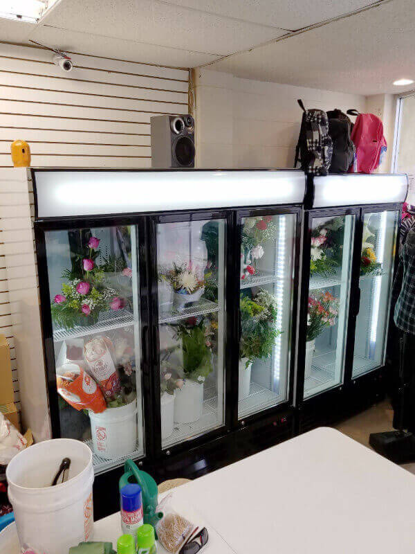 used floral display coolers for sale
